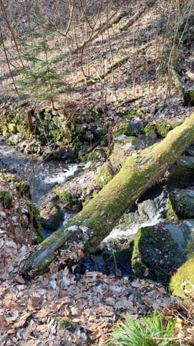 Pillnitz Rundweg