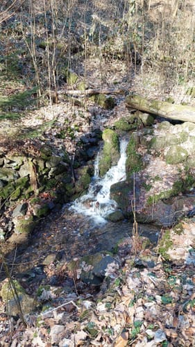 Pillnitz Rundweg