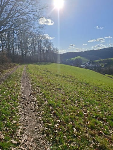 Rundwanderweg Gorxheimertal 9: Waldkopf-Weg