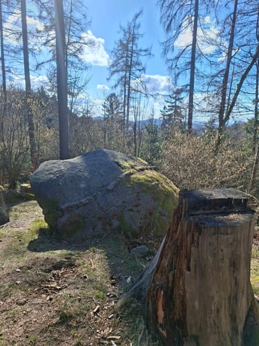 Rundwanderweg Gorxheimertal 9: Waldkopf-Weg
