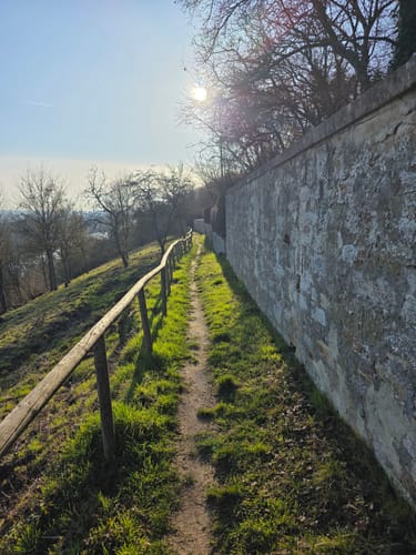 Mainblick, Mainleite und Schindturm