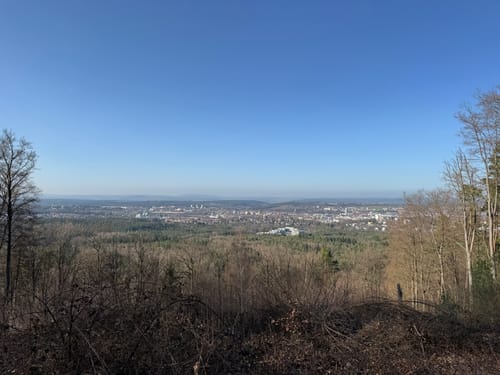 Erlebnispfad zum Humbergturm