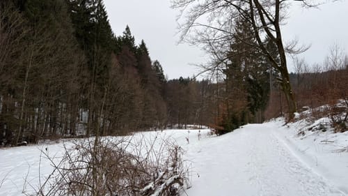Rundweg Sternmühle
