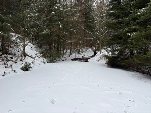 Rundweg Sternmühle