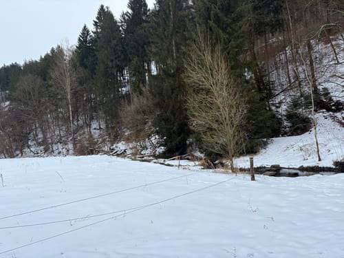 Rundweg Sternmühle