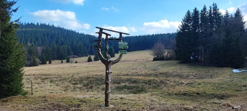 Die Große Acht