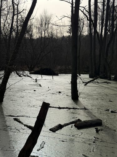 Broibachtal-Route