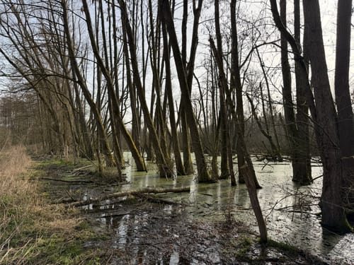 Broibachtal-Route