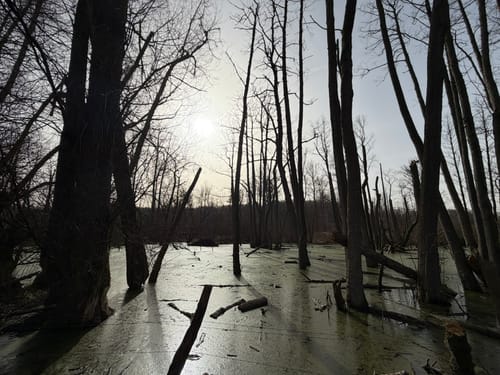 Broibachtal-Route