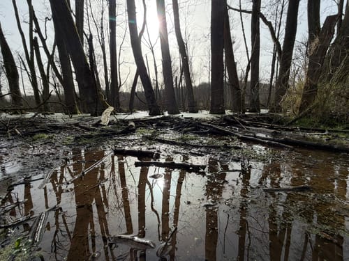 Broibachtal-Route