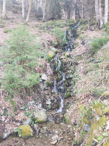 Kälbelescheuer-Nonnenmattweiher