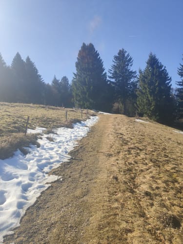 Kälbelescheuer-Nonnenmattweiher