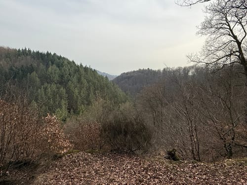 Rheinsteig Etappe 7: Rengsdorf - Sayn