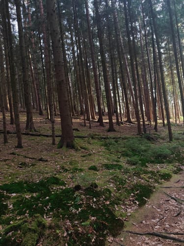 Eisenberger Mühltal Rundweg