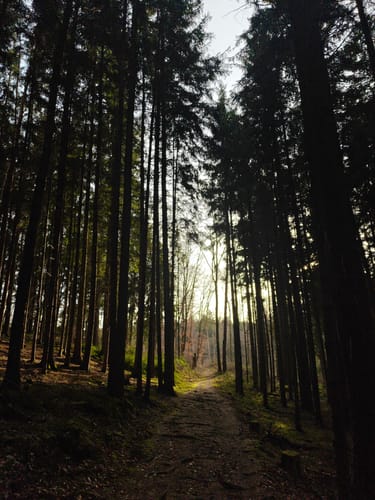 Eisenberger Mühltal Rundweg