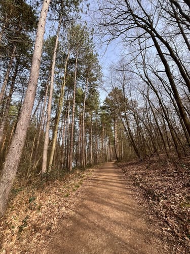 Um den Heider Bergsee