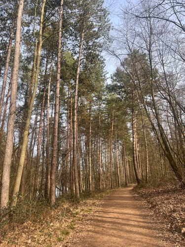 Um den Heider Bergsee