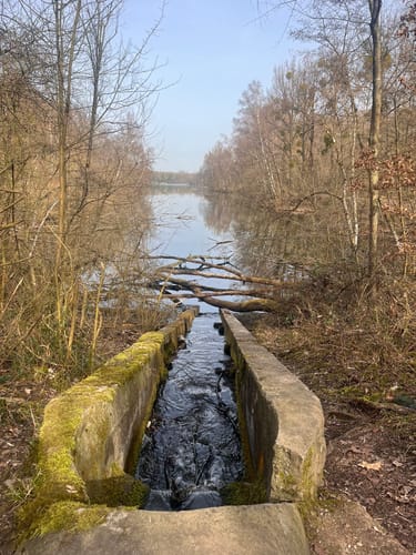 Um den Heider Bergsee