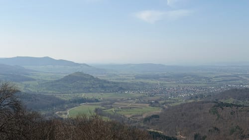Wiesenberg und Boßler