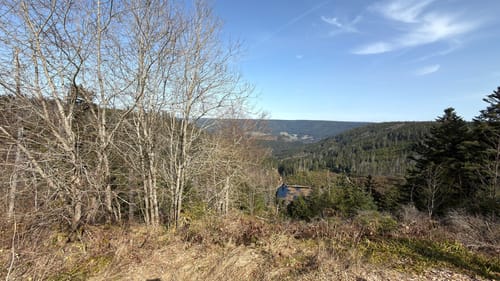 Tonbach - Überzwercher Berg