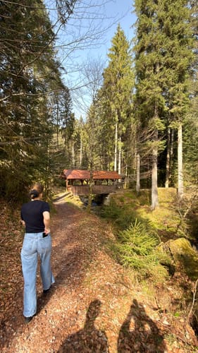 Tonbach - Überzwercher Berg