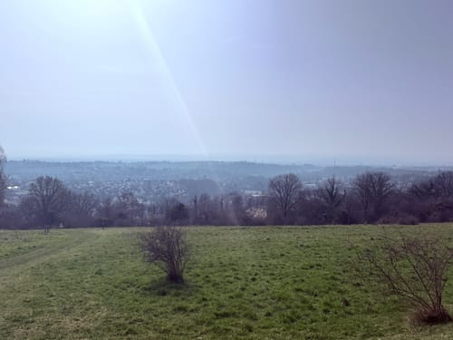 Rheinsteig Etappe 6: Leutesdorf - Rengsdorf