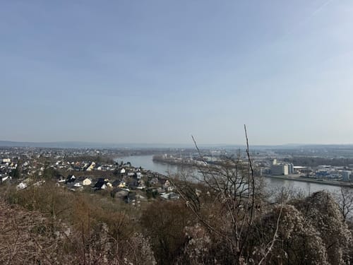 Rheinsteig Etappe 6: Leutesdorf - Rengsdorf