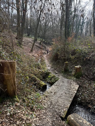 Rheinsteig Etappe 6: Leutesdorf - Rengsdorf