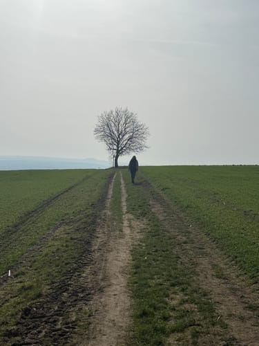 Rheinsteig Etappe 6: Leutesdorf - Rengsdorf