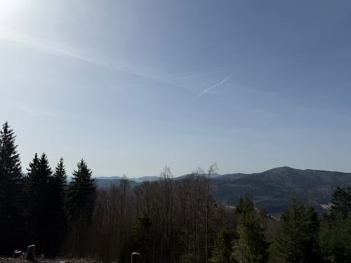 Rund um den Tannenkopf
