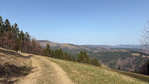 Rund um den Tannenkopf