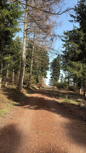 Rund um den Tannenkopf