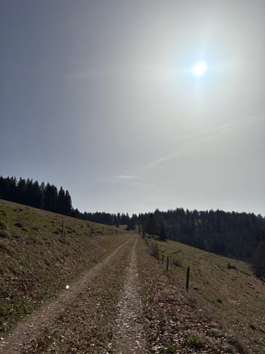 Rund um den Tannenkopf