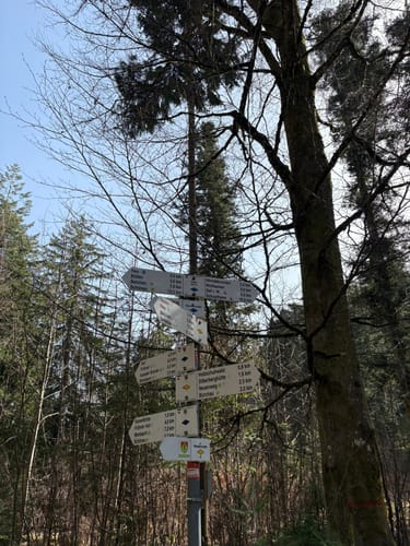 Rund um den Tannenkopf