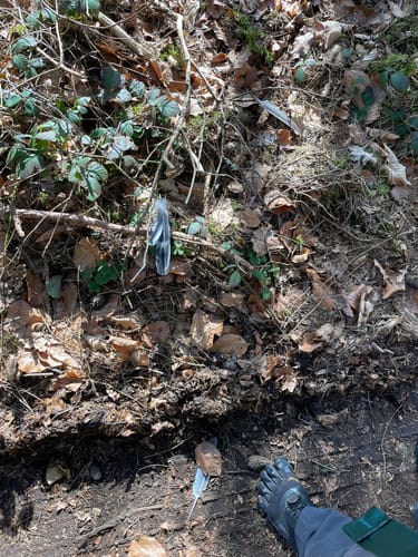 Waldspaziergang ab Baggersee Babenhausen