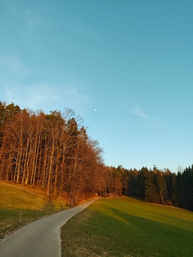 Johannishögl - Stroblalm