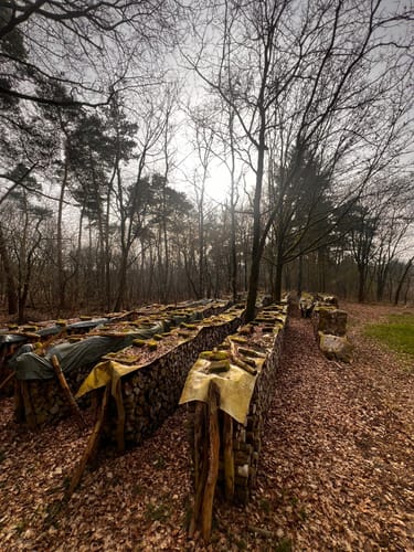 Reindersmeer Kleine Rondwandeling