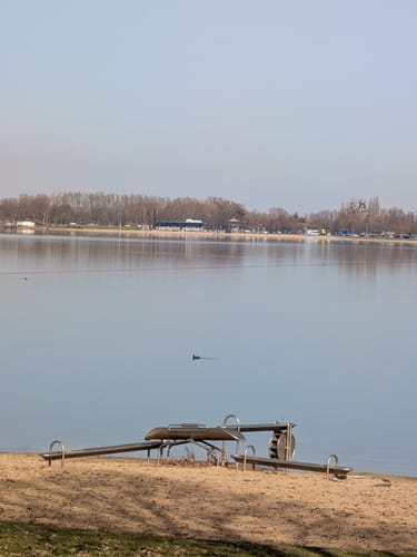 Um den Salzgittersee