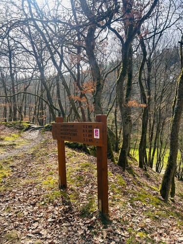 Mittelalterpfad (Traumpfad)