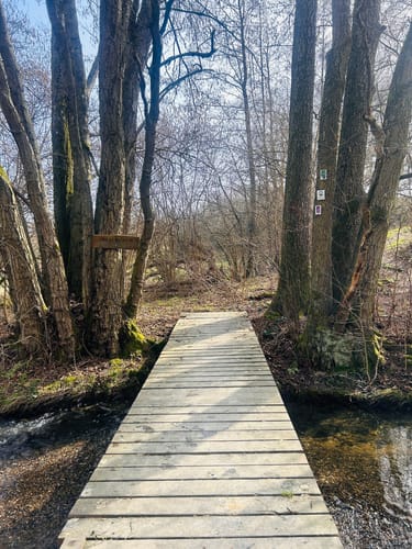 Mittelalterpfad (Traumpfad)