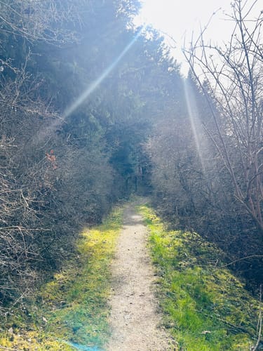 Mittelalterpfad (Traumpfad)