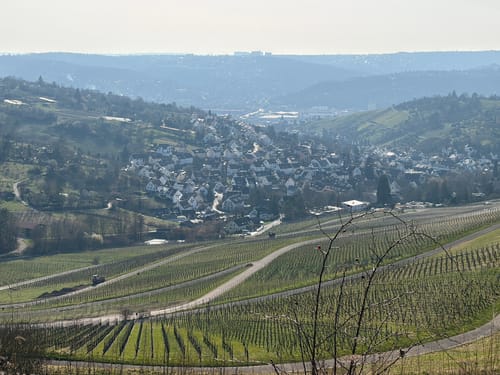 Von Obertürkheim über die Weinberge