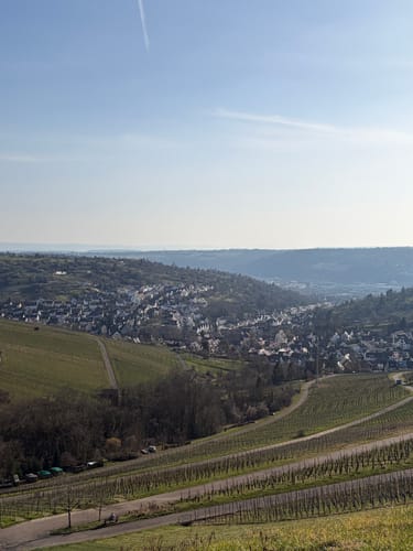 Von Obertürkheim über die Weinberge