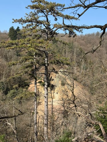 Kupferwege 2