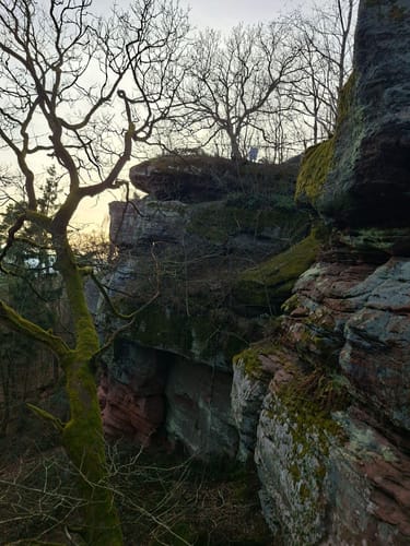 Höningen, Rahnfels, und Kieskautberg Rundweg