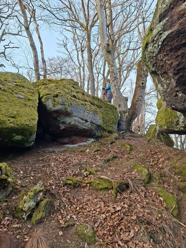Höningen, Rahnfels, und Kieskautberg Rundweg