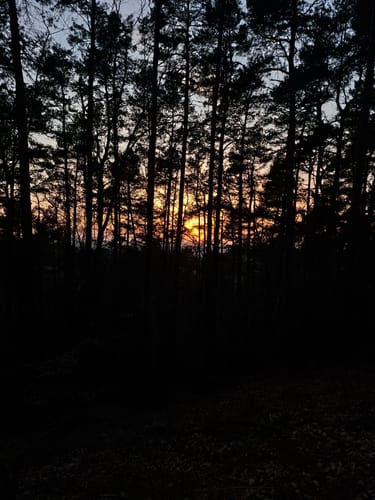 Höningen, Rahnfels, und Kieskautberg Rundweg