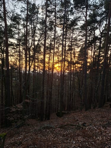 Höningen, Rahnfels, und Kieskautberg Rundweg