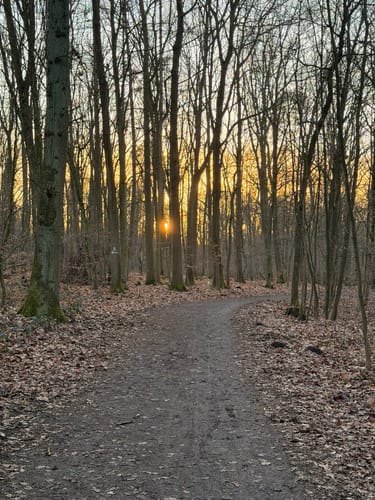 Beversee Rundweg