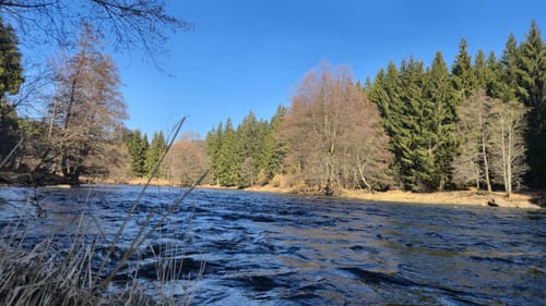 Bayrisch Kanada Rundweg Nr. 14